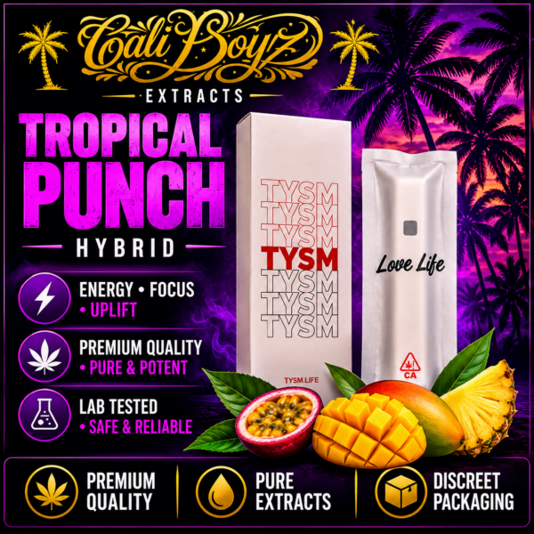 Tropical Punch Hybrid – 1G Disposable