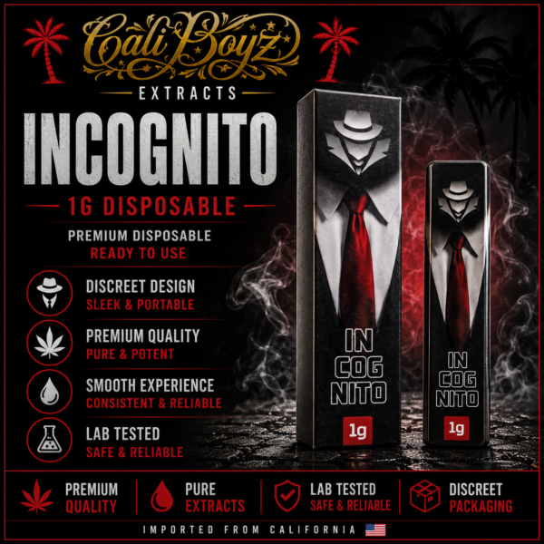 Incognito – 1G Disposable
